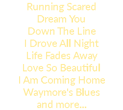 Running Scared Dream You Down The Line I Drove All Night Life Fades Away Love So Beautiful I Am Coming Home Waymore's Blues and more...